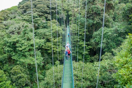 Costa Rica-Monteverde Cloud Forest