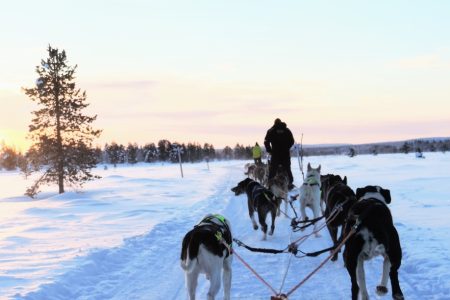 Huslis promenade laponie