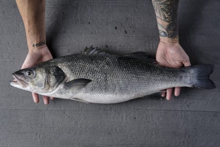 Lubina Aquanaria en manos tatuadas 3
