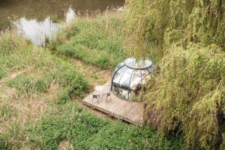 Nids des Marais bulle