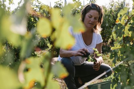 mont_des_anges-Laurianne vignes